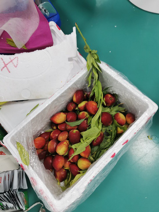 1e325924f8ffaf0a42fb31602a895c5 1e325924f8ffaf0a42fb31602a895c5