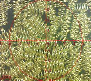 Produit de placage à ressort ROHS Rapport de test de broche Pogo